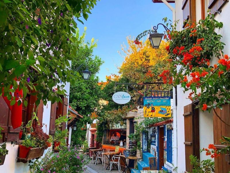 ALAÇATI OT FESTİVALİ