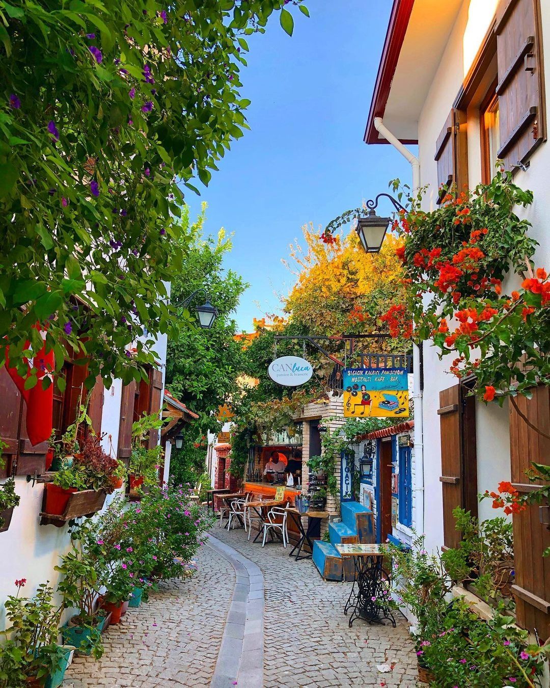 ALAÇATI OT FESTİVALİ